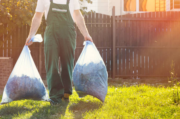 Best Shed Removal  in Otsego, MI